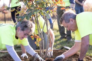 Volunteers were planting a tree during the annual Purdue Day of Service.