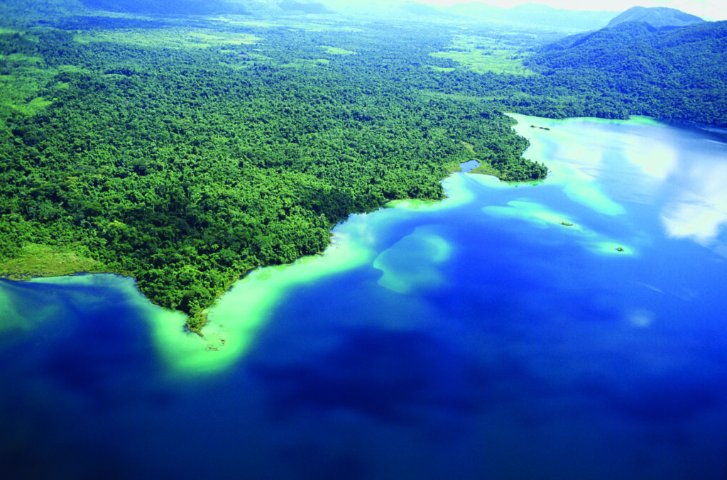 An image of nature in Australia
