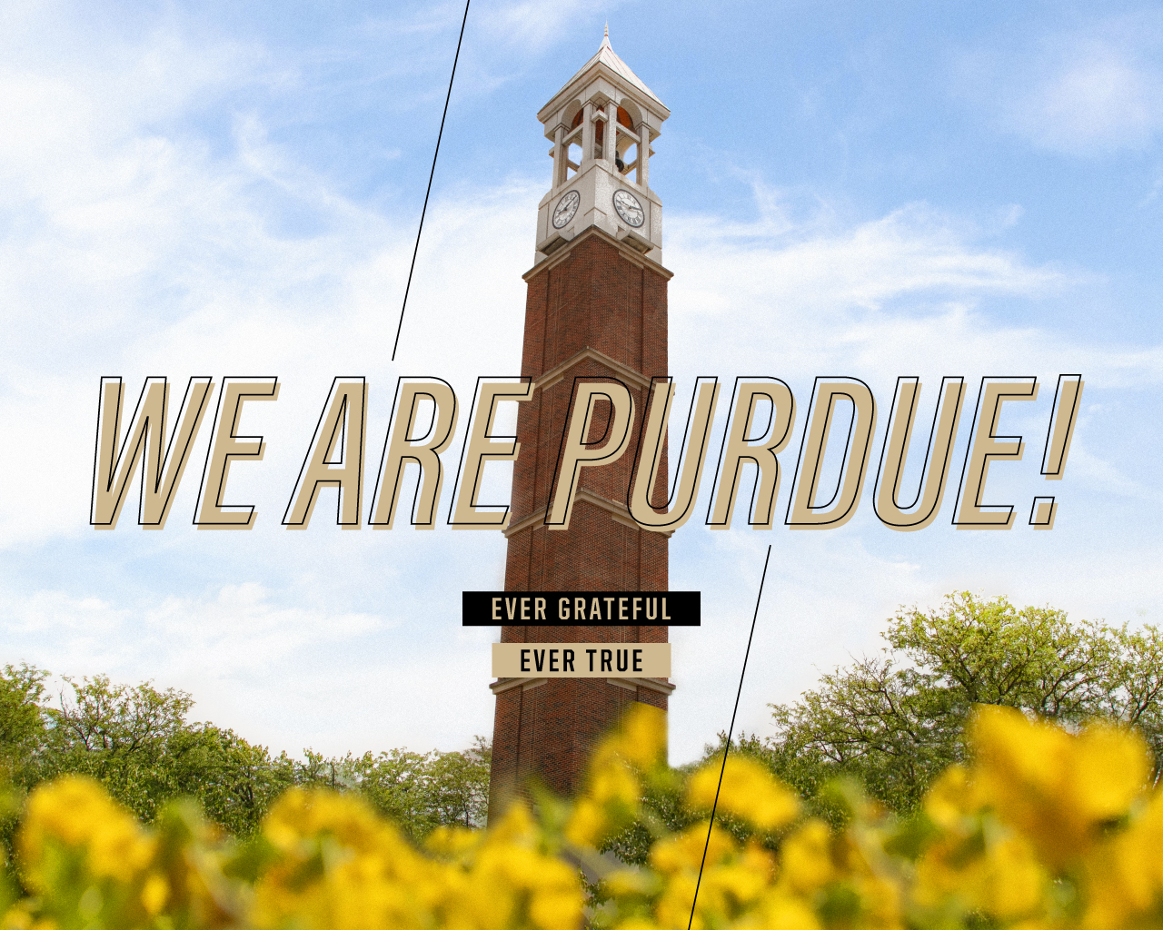 24 Purdue Wallpaper  WallpaperSafari