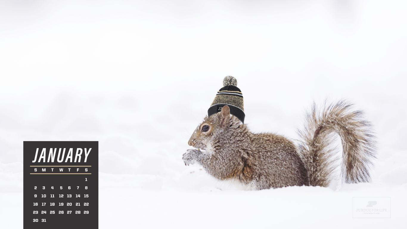 Squirrel with a Purdue hat standing in snow. There's a January 2022 calender in the lower left.