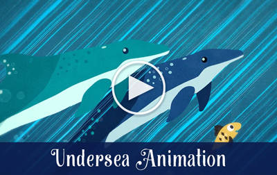 Undersea Animation