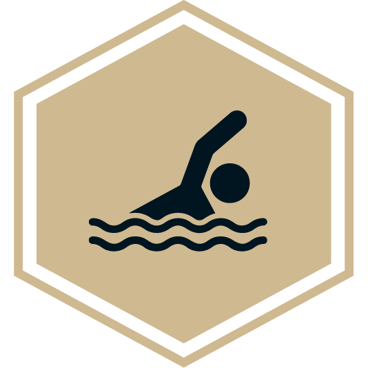 Icon showing a swimmer