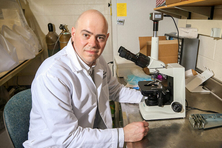 Professor Stephen Lindemann