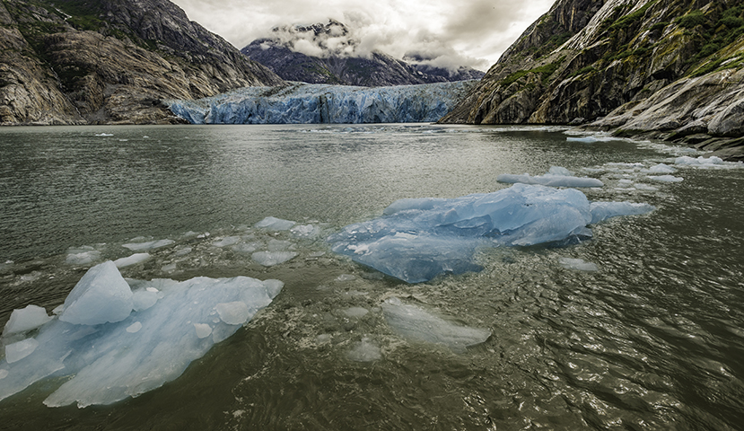 Dawes Glacier at the end of the Endicott Arm in the Fords Terror Wilderness area of South-east Alaska. Part of the Tongass National Forest.
