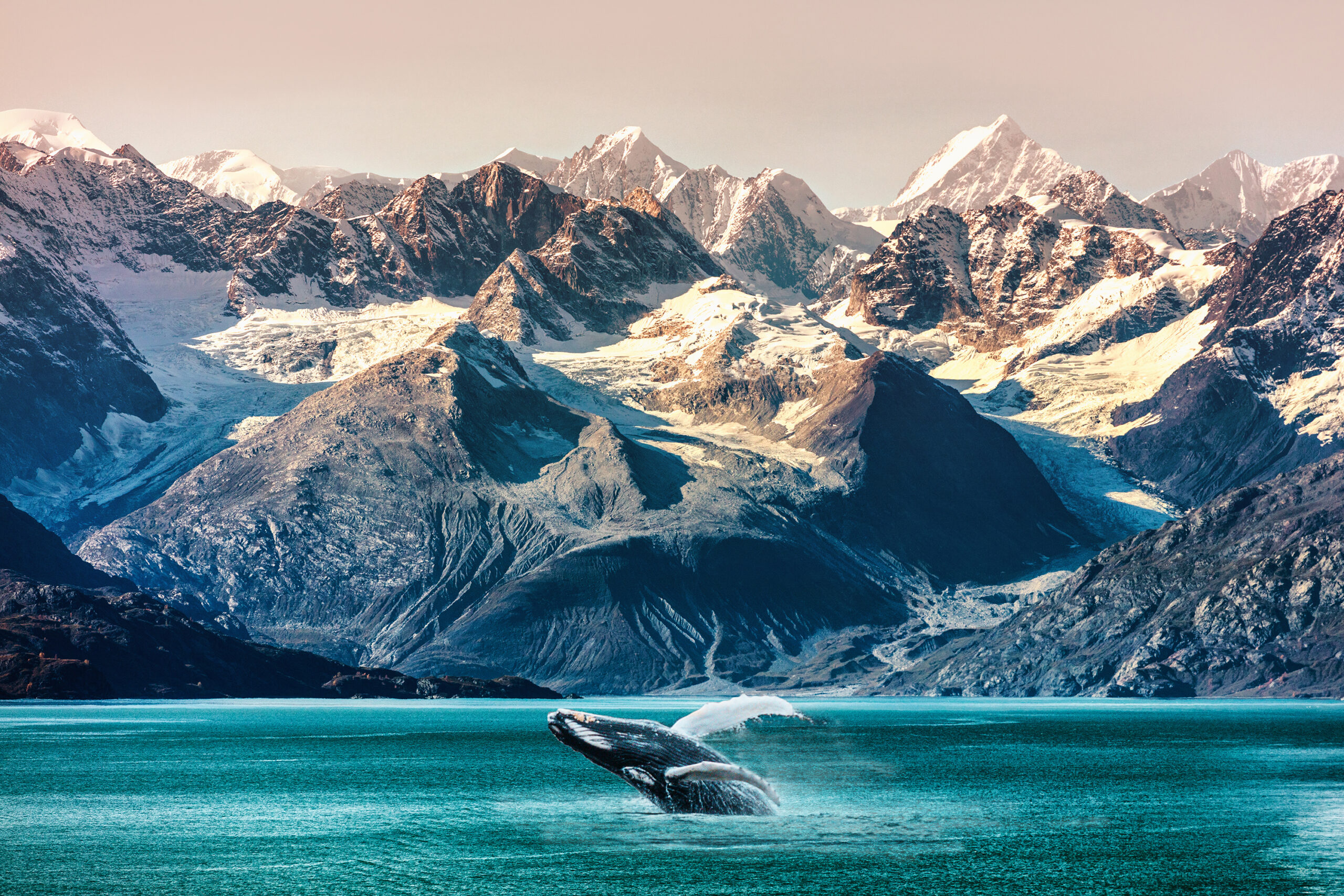 Alaska whale watching boat excursion. Inside passage mountain range landscape luxury travel cruise concept.