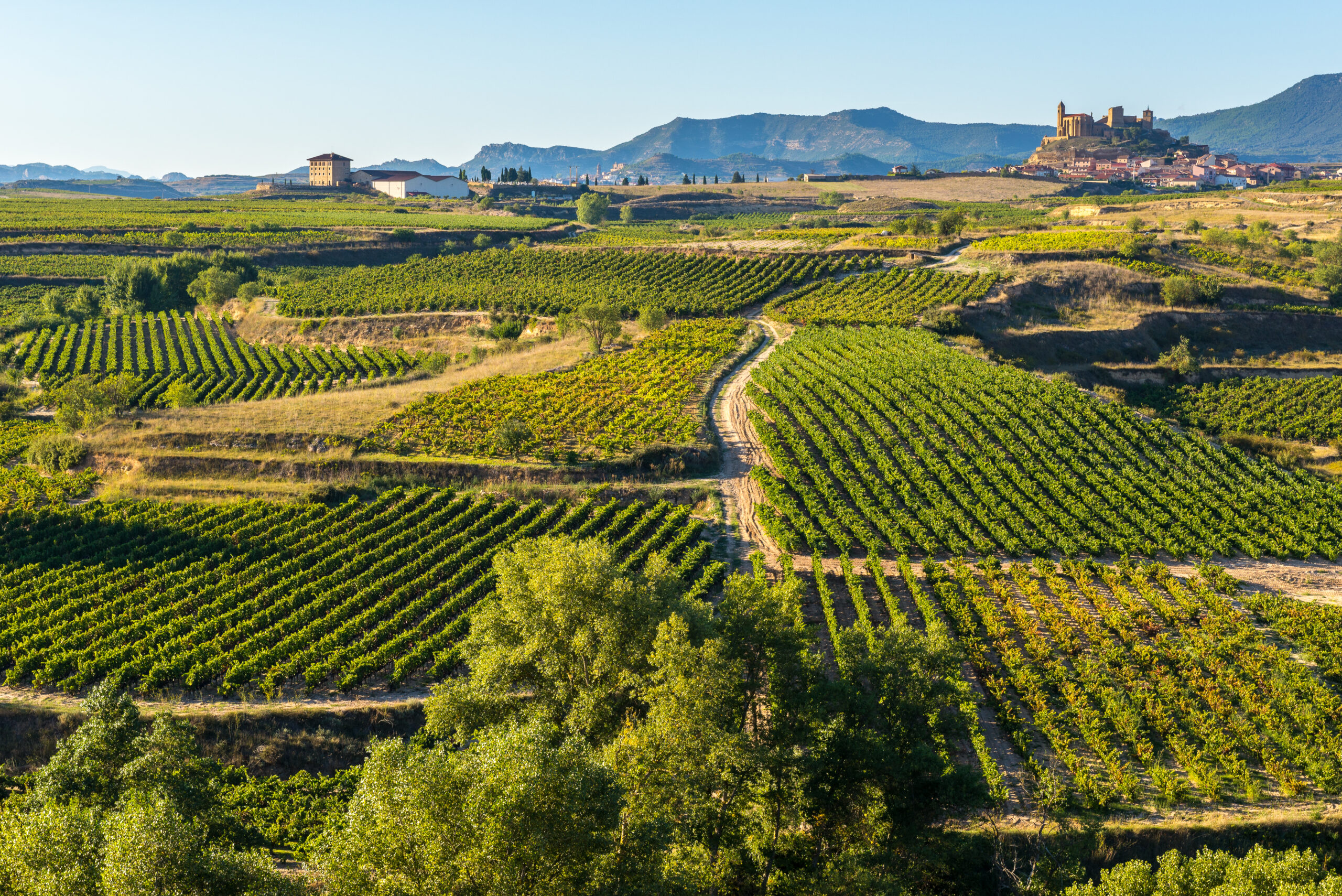 Bordeaux & Basque Country: Wine & Culture