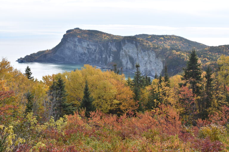 Fall Tableau of Canada and New England