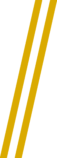 Gold Lines