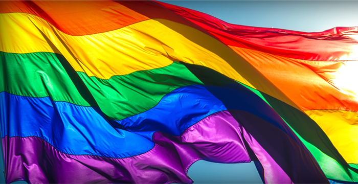 The rainbow flag.