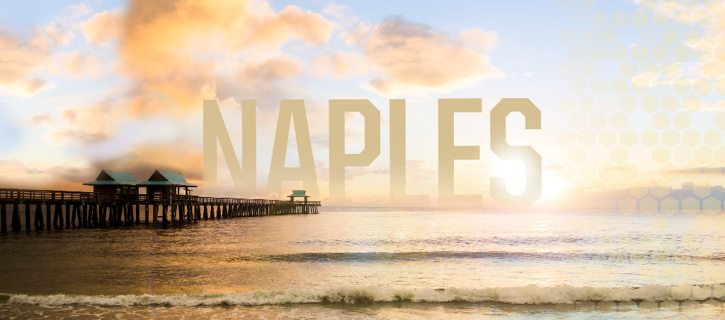 Image of a pier and the ocean in Florida