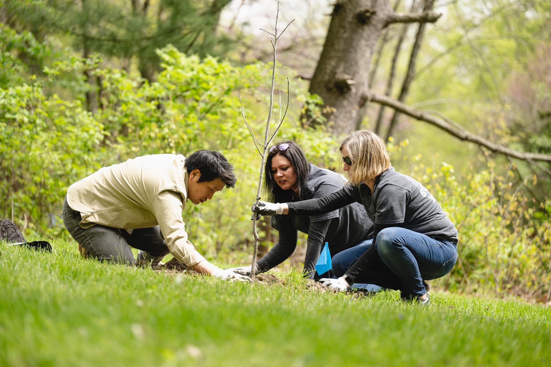 Two women and a man planting a tree for Purdue's Day of Service