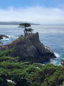 Monterey coastline in California