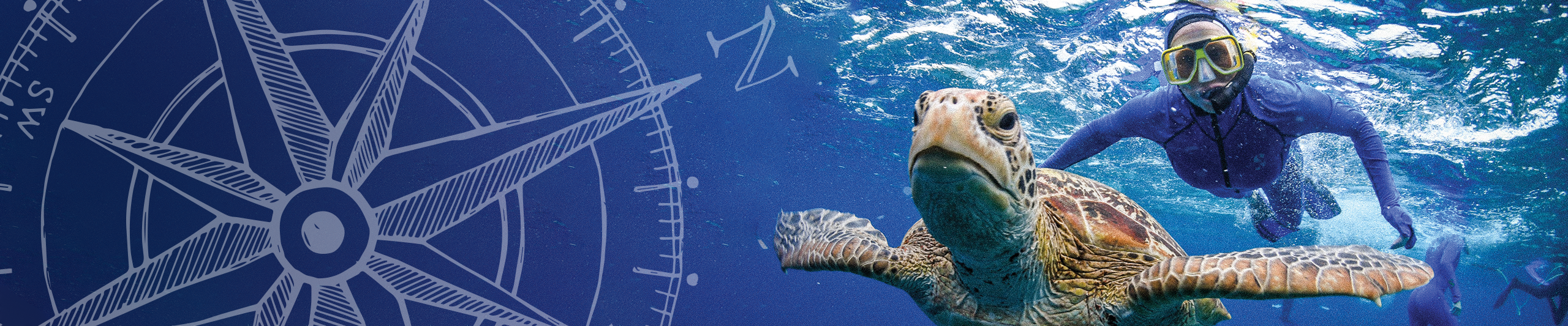 Web banner featuring scuba diver and a turtle!