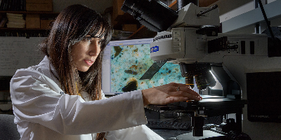 Student working in a lab