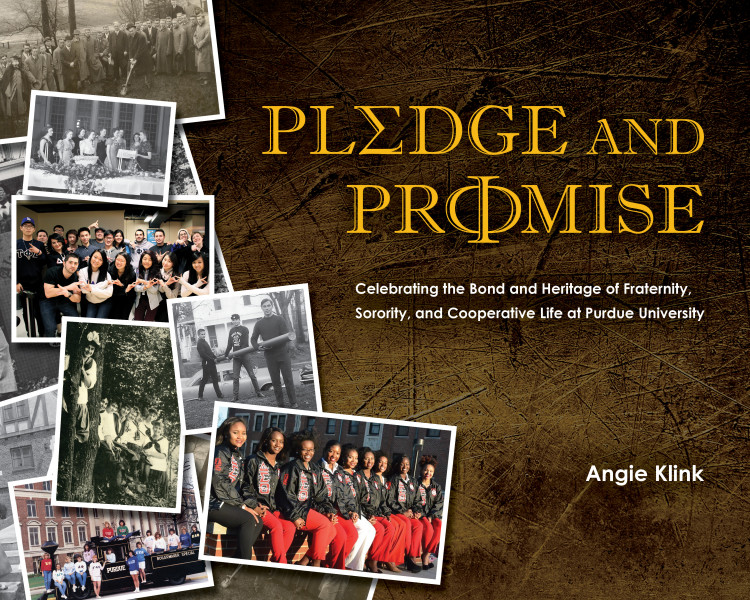 Cover of Pledge and Promise by Angie Klink