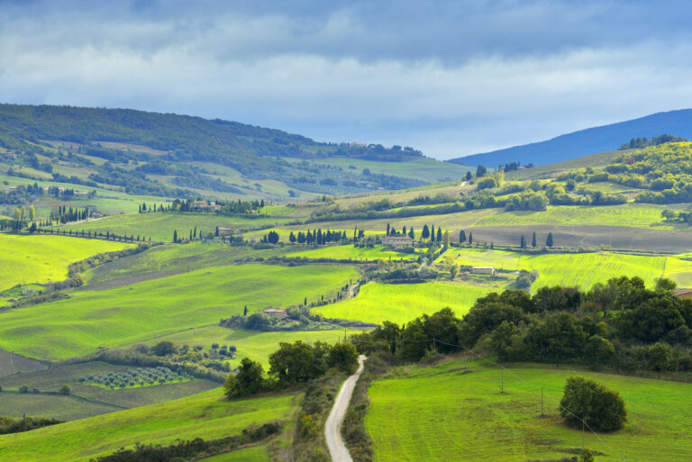 Tuscany Countryside, Pienza, Val d'Orcia, Provinz Siena, Tuscany, Italy