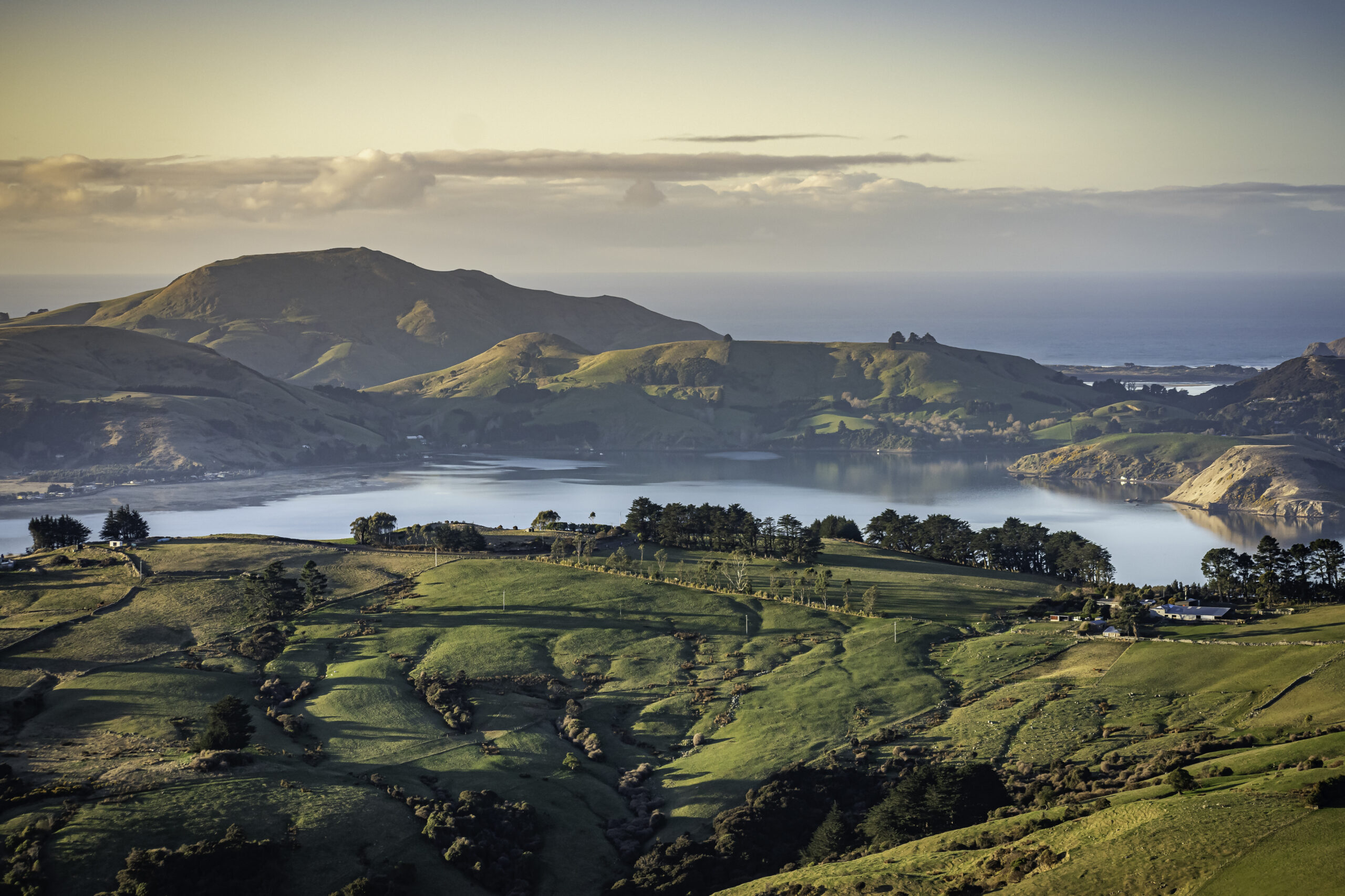 Otago Peninsula and rolling hills and farmland, Dunedin, New Zealand