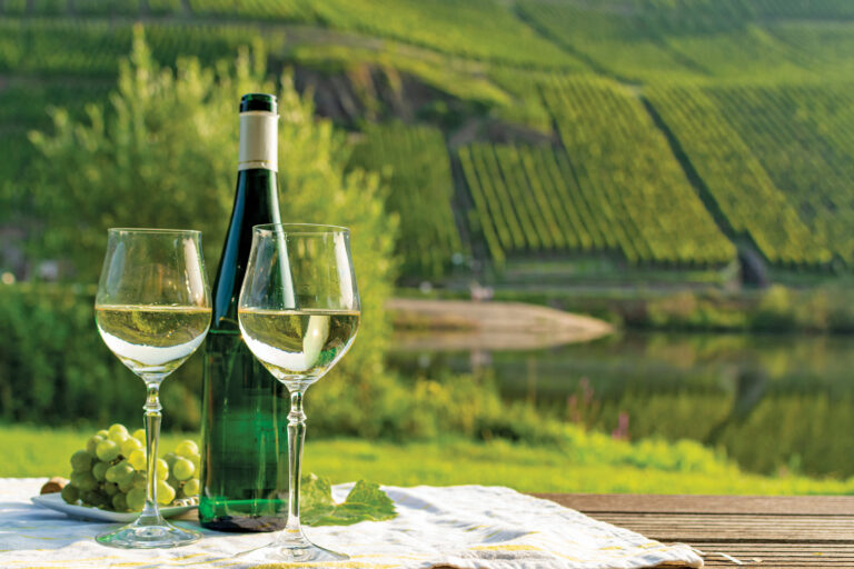 An image of wine and two glasses. Nature in the background.