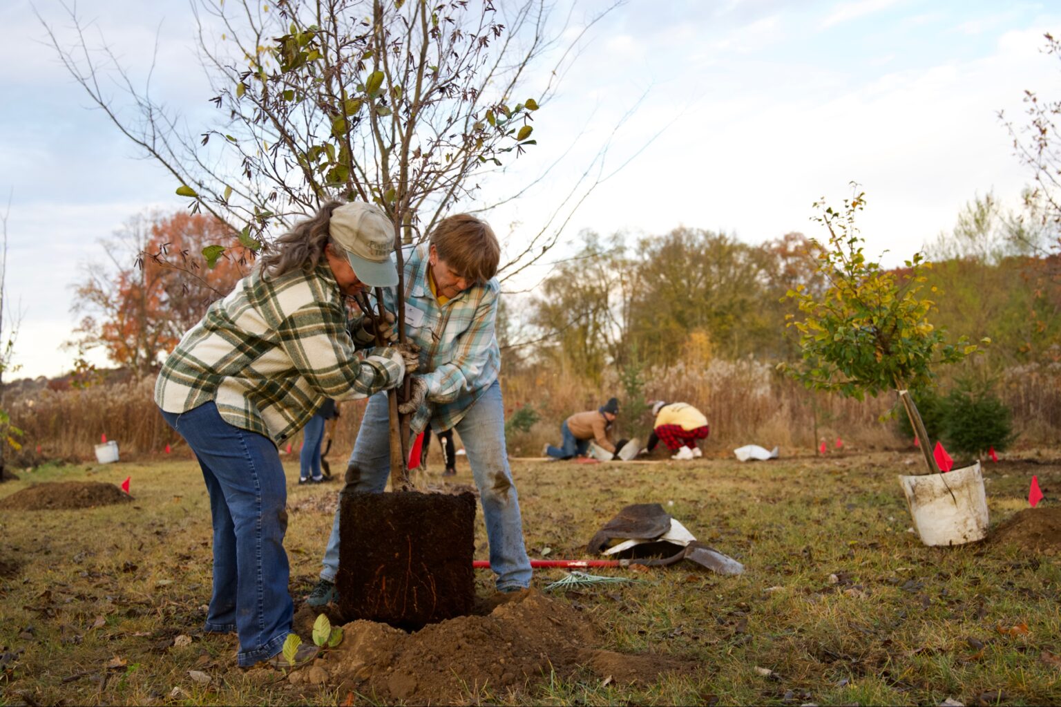Volunteers plant 325 trees during second Purdue Day of Service Purdue