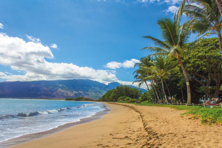 an image showing Hawaii beach
