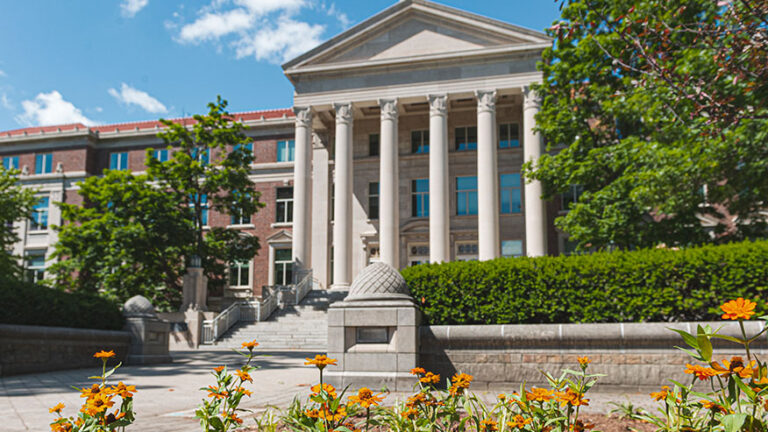 The exterior of Hovde Hall with yellow summer flowers in the foreground